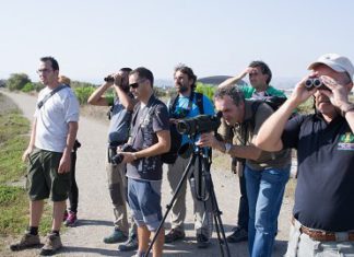 La Diputación organiza dos jornadas formativas gratuitas sobre observación de aves