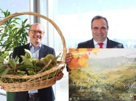 Yunquera: Feria del Vino y la Castaña