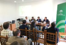 Ayudas al Castañar Andaluz