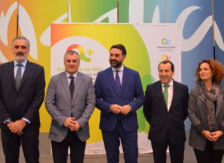 La Junta oferta al sector turístico incentivos del 30 al 65% para el desarrollo de medidas de mejora de eficiencia energética