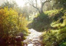 La Gran Senda cambia el trazado de la etapa Ojén-Mijas para incorporar el paso por Monda, Coín y Alhaurín el Grande