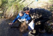 La Junta inicia la suelta de 400 ejemplares de cangrejo autóctono para asegurar la pervivencia de esta especie amenazada