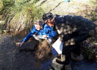 La Junta inicia la suelta de 400 ejemplares de cangrejo autóctono para asegurar la pervivencia de esta especie amenazada