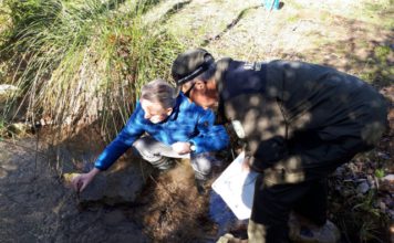 La Junta inicia la suelta de 400 ejemplares de cangrejo autóctono para asegurar la pervivencia de esta especie amenazada