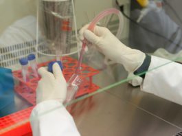 Transformación Económica incentiva con 4 millones de euros la contratación de treinta y dos jóvenes investigadores doctores en Málaga
