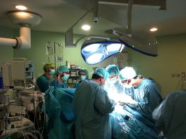 El Sector Málaga de Trasplantes alcanza su récord histórico de donaciones de órganos con 131 donantes