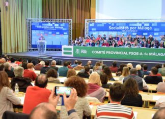 Ruiz Espejo asegura que el culebrón de la sucesión del PP en Málaga es la causa de la parálisis de los gobiernos de la Diputación y el Ayuntamiento de la capital