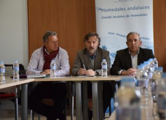 Andalucía incrementa en 16 su inventario de humedales y supera siete veces la media nacional con 221 enclaves