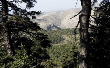 Propuesta de Declaración de Parque Nacional a la Sierra de las Nieves