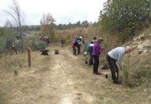 La Diputación organiza en marzo plantaciones participativas para recuperar espacios degradados en seis municipios