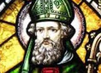 En Irlanda no existen «Culebras»