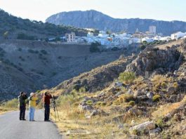Expertos internacionales en ornitología conocen la oferta de la provincia de Málaga de la mano de Turismo Costa del Sol