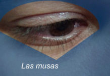 Centros educativos malagueños se abren a las musas de La Noche en Blanco