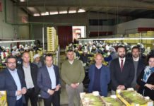 Ruiz Espejo destaca el apoyo de la Junta de Andalucía al sector agroalimentario de Antequera