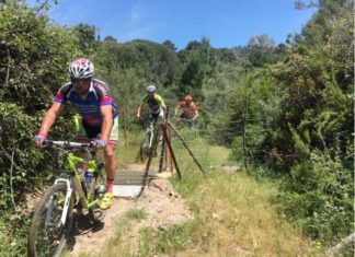 El nuevo Listado de Deporte de Rendimiento de Andalucía incluye a 373 deportistas, 17 entrenadores y 7 juez-árbitro