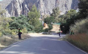 La Diputación realiza un plan de desbroce y limpieza de cunetas en los 800 kilómetros de carreteras provinciales