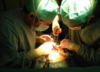 Red de Equipos Móviles de Donación en Asistolia