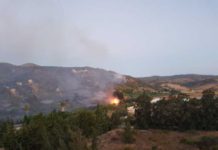 La Unidad de Policía Adscrita a la Junta de Andalucía en Málaga imputa a una persona por un incendio forestal en Torrox