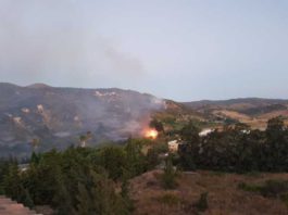 La Junta desactiva el nivel 1 del Plan de Emergencias por incendios forestales en Málaga por el fuego declarado en Manilva