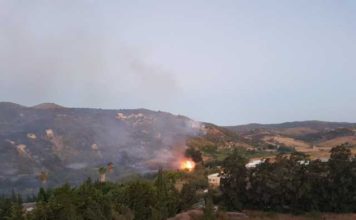 La Junta prohíbe usar fuego y la circulación de vehículos en espacios forestales andaluces