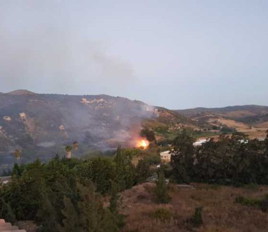 La Unidad de Policía Adscrita a la Junta de Andalucía en Málaga imputa a una persona por un incendio forestal en Torrox