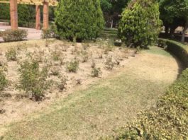 LIBRES denuncia el despilfarro del Ayto. de Málaga en el parque de María Luisa