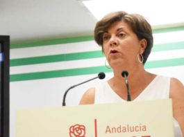 El PSOE de Málaga reclama la modificación de la Ley de Estabilidad Presupuestaria para responder a los intereses de la ciudadanía