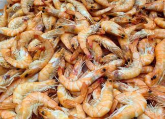 La Junta reclamó ayudas por la incidencia de toxinas en el marisqueo que que no fueron conseguidas por el Gobierno ante Europa