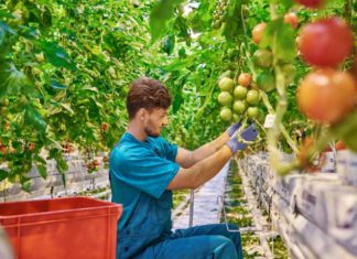 Empleo convoca el programa de FP con compromiso de contratación con 3,5 millones de euros para 1.035 desempleados en Málaga