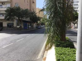 LIBRES pide la retirada de las palmeras de la mediana de Sor Teresa Prat