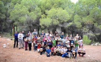 Talleres de Protección y Observación de Aves de Diputación