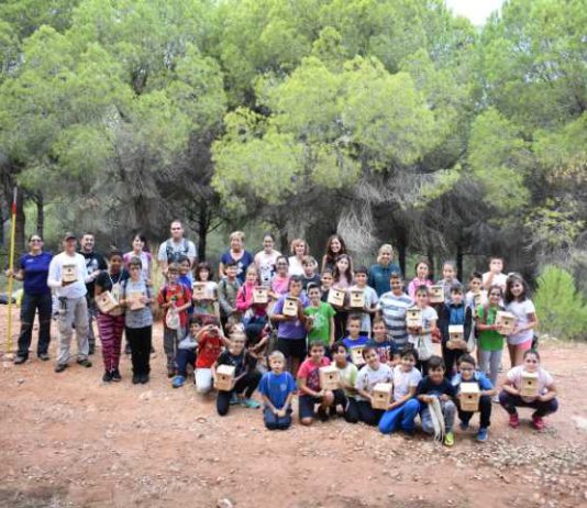 Talleres de Protección y Observación de Aves de Diputación
