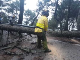 IU Sobre las pasadas inundaciones en Málaga