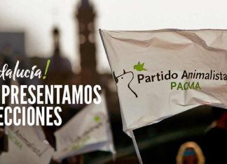 PACMA entregará a los andaluces un completo compromiso por los animales, el medioambiente y la justicia social