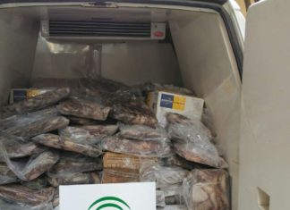 Decomiso de Pesca Ilegal en Málaga