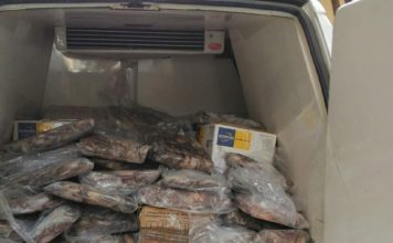 Decomiso de Pesca Ilegal en Málaga