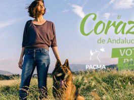 PACMA recuerda al Ayuntamiento de Málaga su compromiso contra el uso de pirotecnia durante las fiestas navideñas
