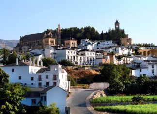 La Diputación contribuye a mejorar diversas zonas verdes de Antequera con 4.500 árboles y arbustos