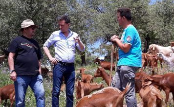 La Diputación de Málaga y Cicerones Rurales editan un manual para fomentar el agroturismo en la provincia
