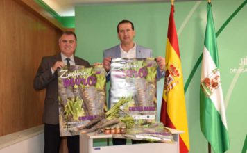 Cuevas Bajas celebra el domingo su Fiesta de la Zanahoria Morá con una previsión que supera los 6.000 visitantes