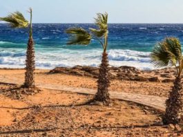 La Junta cierra temporalmente al baño la playa de Arroyo Vaquero de Estepona