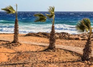 Diario de a bordo. Lecciones en la mar de Roquetas