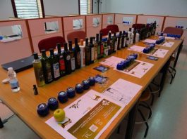 La UMA y Sabor a Málaga impulsó la especialización profesionales gastronómicos con cuatro cursos de oleoturismo y enogastronomía en 2018