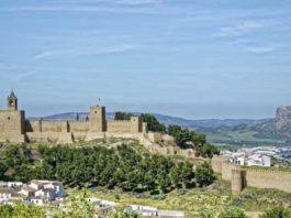 ‘Andalucía federal y con plenos derechos’, lema de la asamblea de Iniciativa del Pueblo Andaluz