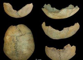 Los hallazgos arqueológicos en la Cueva de El Toro revelan prácticas de canibalismo en el Neolítico Antiguo