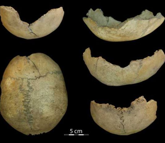 Los hallazgos arqueológicos en la Cueva de El Toro revelan prácticas de canibalismo en el Neolítico Antiguo
