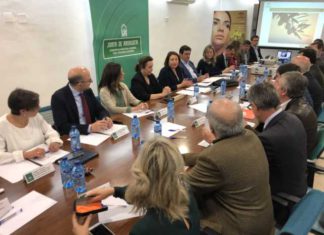 Consejería y sector olivarero acuerdan por “unanimidad” trabajar de forma conjunta con el Ministerio ante la crisis de los precios