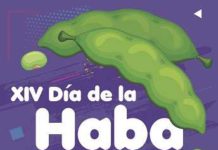 Villanueva de la Concepción, XIV Día de la Haba