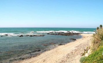 «Educación, concienciación ciudadana y respeto por la vida contra el coronavirus»