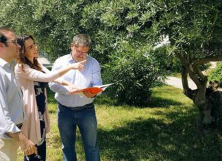 Ciudadanos propone reconvertir el pulmón verde de La Noria en un entorno de esparcimiento público abierto todo el año